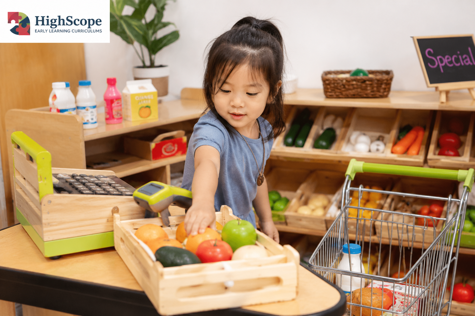 Grocery Store Play Set